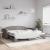 Pat de zi cu extensie, gri taupe, 100x200 cm, textil GartenMobel Dekor
