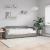 Pat de zi cu saltea, gri taupe, 100x200 cm, textil GartenMobel Dekor