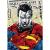 PUZZLE TREFL 1000 PREMIUM PLUS SUPERMAN SuperHeroes ToysZone