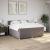 Pat box spring cu saltea, gri taupe, 200x200 cm, textil GartenMobel Dekor