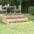 Jardinieră, 78x78x27 cm, lemn masiv de pin GartenMobel Dekor
