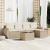 Set canapele de grădină cu perne, 6 piese, bej, poliratan GartenMobel Dekor
