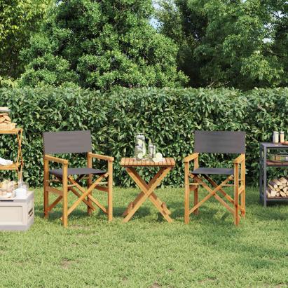 Scaune de regizor pliante, 2 buc., gri, lemn masiv de tec GartenMobel Dekor