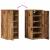 Pantofar, lemn vechi, 32x35x70 cm, lemn prelucrat GartenMobel Dekor