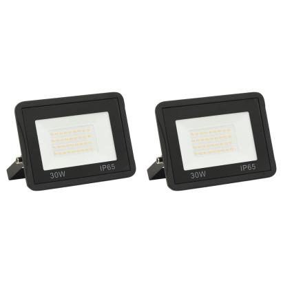 Proiectoare cu LED, 30 W, 2 buc., alb rece GartenMobel Dekor