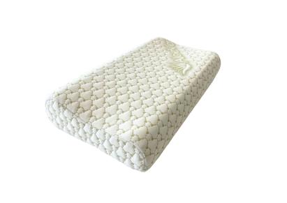 Perna ergonomica Aloe Vera Memory, sustinere exacta pentru gat si cap, husa detasabila, 30x50x10/8 cm, ambalata la geanta Relax KipRoom