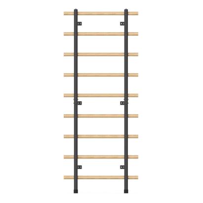 Spalier inSPORTline Wootaline 199 x 80 cm FitLine Training