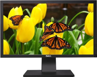 Monitor Second Hand Profesional Dell P2411HB, 24 Inch LED Full HD, VGA, DVI, USB NewTechnology Media