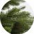 Brad Artificial de Craciun cu Ace 3D PE Nordmann Verde 190cm