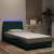 Cadru de pat cu lumini LED, verde închis, 100x200 cm, catifea GartenMobel Dekor