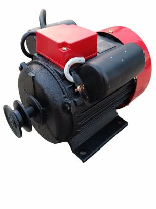 Motor electric 0.75 kW, 230 V, 3000 rpm, YAMAMOTO, Y801-2 Innovative ReliableTools