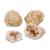 Kit geologic - Geode PlayLearn Toys