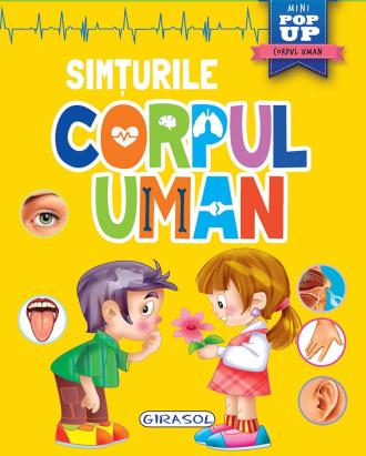 Corpul uman - Simturile PlayLearn Toys