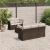 Set canapele de grădină cu perne, 6 piese, maro, poliratan GartenMobel Dekor