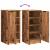Pantofar, lemn vechi, 30x35x70 cm, lemn prelucrat GartenMobel Dekor