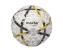 MAXTAR MINGE FOTBAL CHAMPIONSHIP ProVoyage Vacation