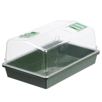 Nature Propagator pentru plante, 55 x 31 x 21 cm GartenMobel Dekor