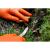 Manusi nitril, unica folosinta, portocaliu, set 50 buc, marimea XL, NEO GartenVIP DiyLine