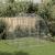 Pui de găină 2,5x2x2,25 m Oțel galvanizat GartenMobel Dekor