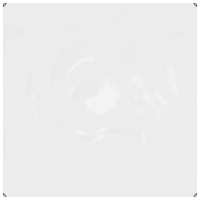 Prelata transparenta cu ochiuri 2x2 m PVC GartenMobel Dekor