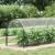 Prelata transparenta cu ochiuri 2x12 m PVC GartenMobel Dekor