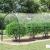 Prelata transparenta cu ochiuri 4x12 m PVC GartenMobel Dekor