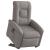Fotoliu electric rabatabil cu ridicare, gri taupe, textil GartenMobel Dekor