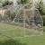 Pui de găină 2,5x4x2,25 m Oțel galvanizat GartenMobel Dekor