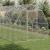 Pui de găină 2,5x12x2,25 m Oțel galvanizat GartenMobel Dekor