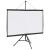 Ecran de proiecție cu trepied 50 inch 16:9 GartenMobel Dekor