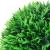 Mingi artificiale din lemn de cimiș cu lumini LED 2 buc Verde GartenMobel Dekor