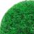 Mingi artificiale din lemn de cimiș cu lumini LED 2 buc Verde GartenMobel Dekor