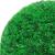 Mingi artificiale din lemn de cimiș cu lumini LED 2 buc Verde GartenMobel Dekor
