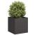 Jardinier negru 40x40x40 cm Oțel laminat la rece GartenMobel Dekor