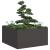 Jardinier negru 80x80x40 cm Oțel laminat la rece GartenMobel Dekor