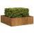 Jardinieră Rusty 100x100x30 cm Oțel pentru intemperii GartenMobel Dekor