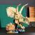 LEGO Fosile de dinozaur: craniu de Triceratops Quality Brand