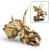 LEGO Fosile de dinozaur: craniu de Triceratops Quality Brand