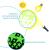 Set 75 stickere fosforescente decorative, stele, buline, lumineaza verde, dimensiuni 1-4 cm MultiMark GlobalProd