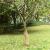 Rulou de iută, 0,5x25 m, iută 100%, 200 g/m² GartenMobel Dekor