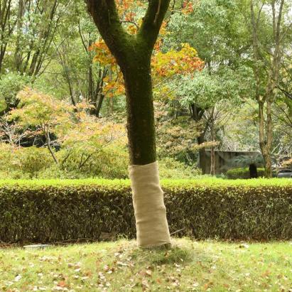 Rulou de iută, 1x10 m, iută 100%, 200 g/m² GartenMobel Dekor