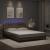 Cadru pat cu lumini LED, cappuccino, 160x200 cm piele ecologică GartenMobel Dekor