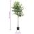 Ficus artificial 756 frunze 170 cm verde GartenMobel Dekor