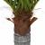 Palmier artificial 6 frunze 100 cm verde GartenMobel Dekor