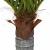 Palmier artificial 12 frunze 150 cm verde GartenMobel Dekor