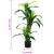 Copac artificial Dracaena 36 de frunze 120 cm verde GartenMobel Dekor