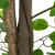 Plantă Ficus artificială 1260 frunze 200 cm verde GartenMobel Dekor