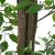 Planta Ficus artificială 2016 Frunze 300 cm Verde GartenMobel Dekor
