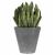 Ghiveci decorativ de flori, rotund, antracit, 7 L, 25x23.3 cm, Tubus Beton GartenVIP DiyLine