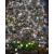 Instalatie luminoasa de Craciun, exterior/interior, 500 LED, cu efect FLASH, alb rece, IP44, 25 m, Jumi GartenVIP DiyLine